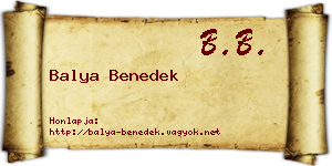 Balya Benedek névjegykártya